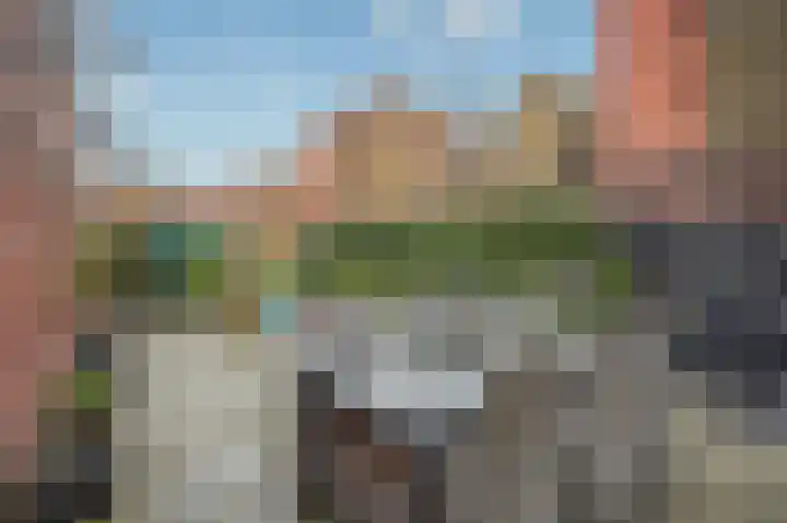 Grasbloem 67 Eindhoven thumbnail 16