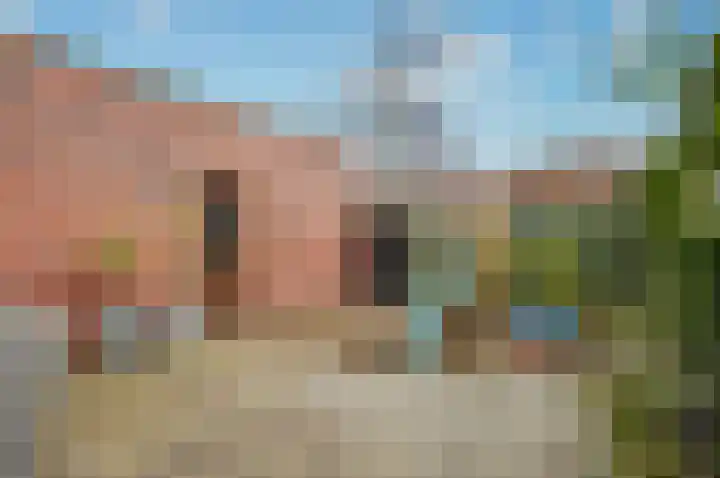 Grasbloem 67 Eindhoven thumbnail 17