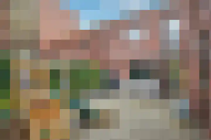 Grasbloem 67 Eindhoven thumbnail 18