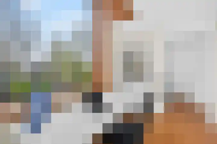 Grasbloem 67 Eindhoven thumbnail 34
