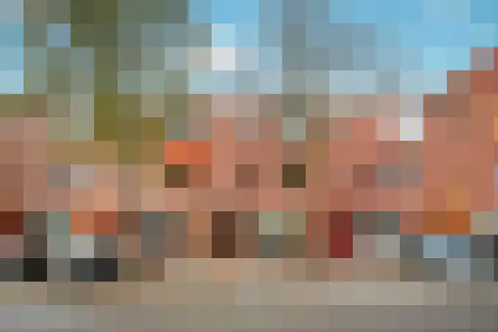 Grasbloem 67 Eindhoven thumbnail 37