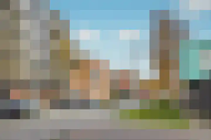 Grasbloem 67 Eindhoven thumbnail 38