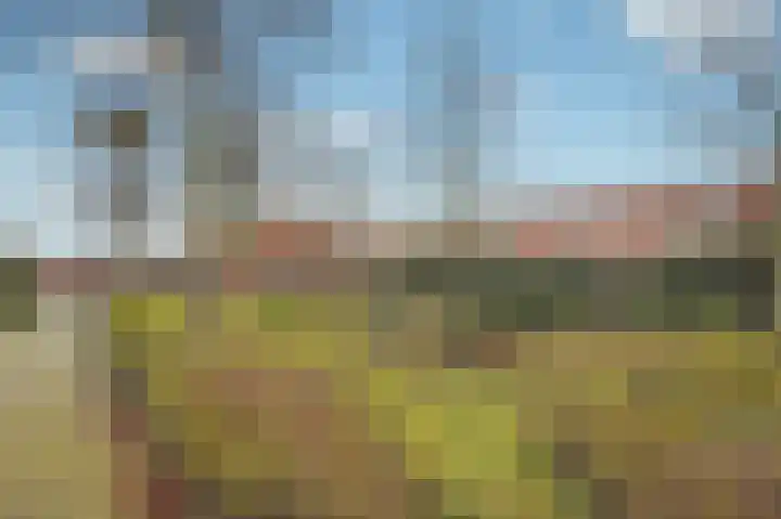 Grasbloem 67 Eindhoven thumbnail 39
