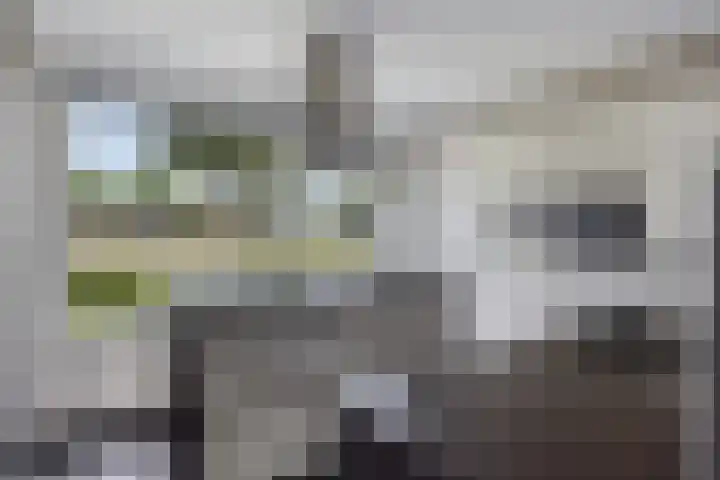 Grasdreef 29 Eindhoven thumbnail 14
