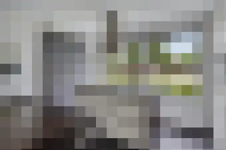 Grasdreef 29 Eindhoven thumbnail 15