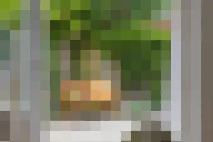 Grasdreef 29 Eindhoven thumbnail 18