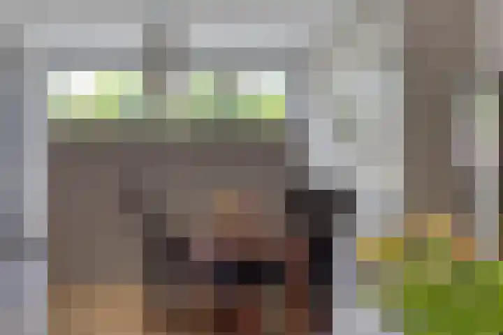 Grasdreef 29 Eindhoven thumbnail 19