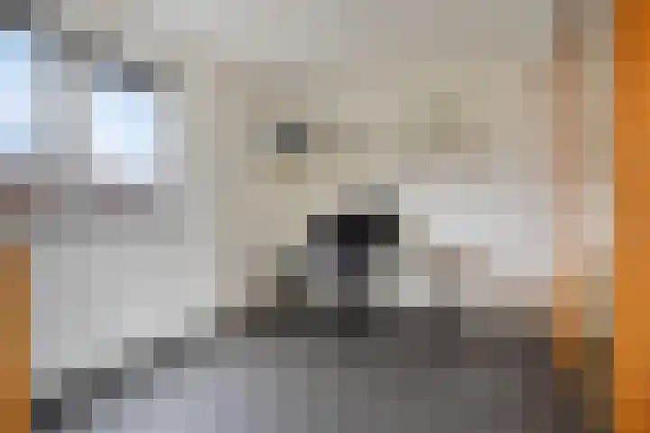 Grasdreef 29 Eindhoven thumbnail 30