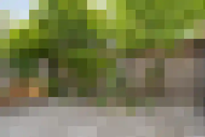 Grasdreef 29 Eindhoven thumbnail 35
