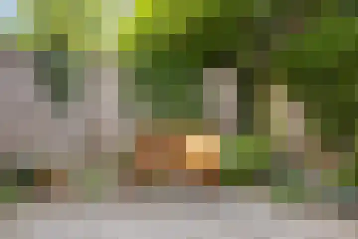 Grasdreef 29 Eindhoven thumbnail 38
