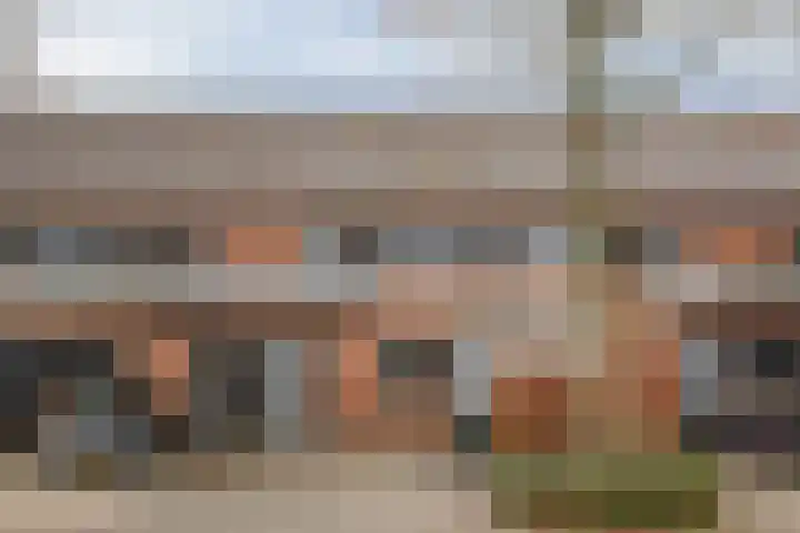 Grasjuffer 138 dans Enschede