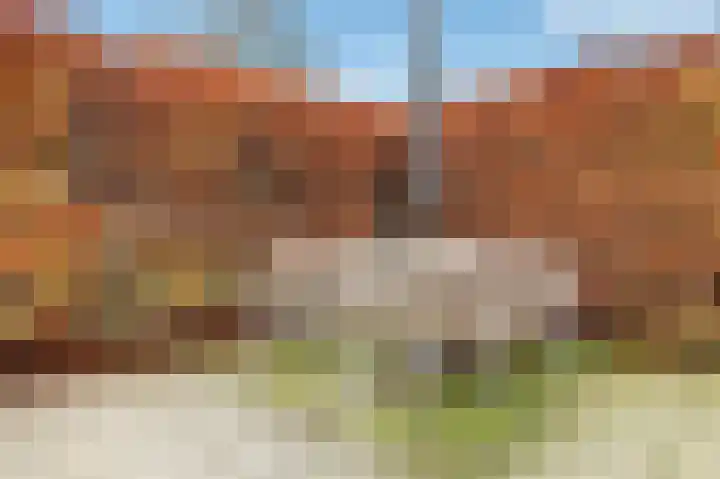 Grasjuffer 138 Enschede thumbnail 28