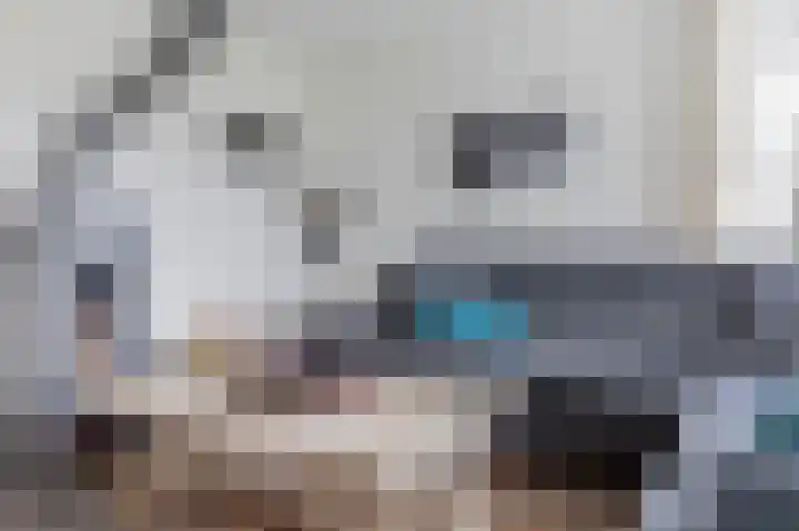 Graskampen 7 Vries thumbnail 13