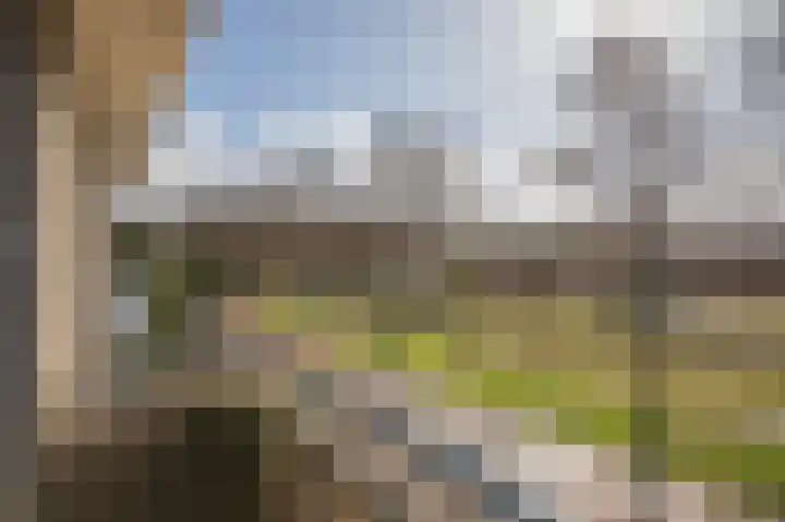 Graskampen 7 Vries thumbnail 34