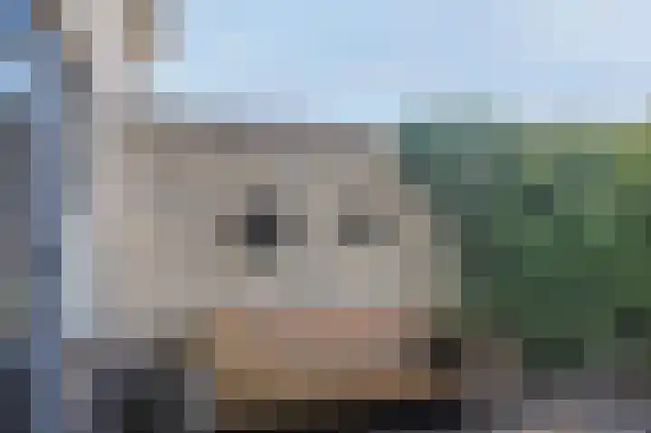 Graskampen 7 Vries thumbnail 41