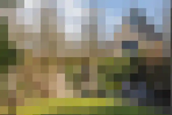 Graskampen 7 Vries thumbnail 44