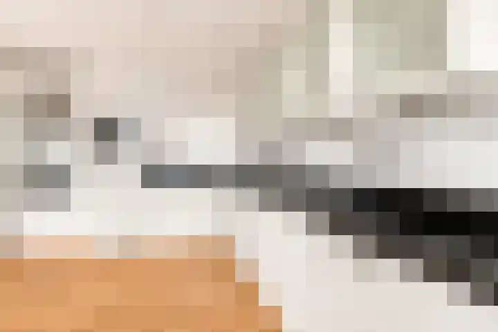 Graskamplaan 64 Uitgeest thumbnail 10