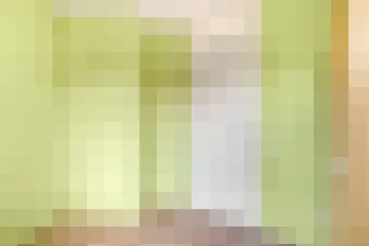 Graskamplaan 64 Uitgeest thumbnail 20