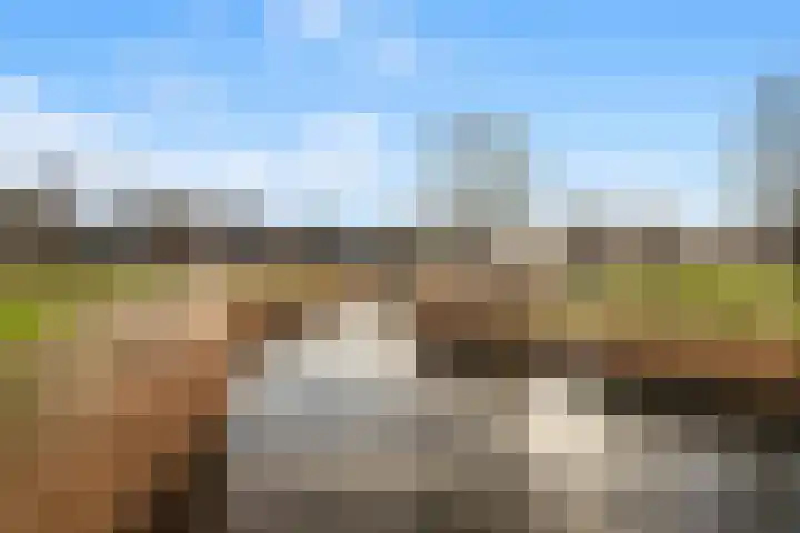 Graskamplaan 64 Uitgeest thumbnail 34