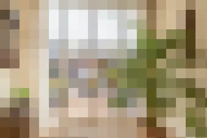 Graskers 19 Eindhoven thumbnail 13