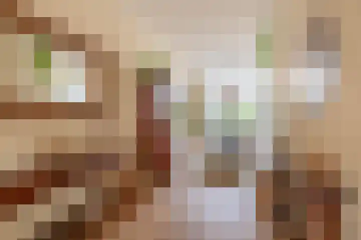 Graskers 19 Eindhoven thumbnail 15