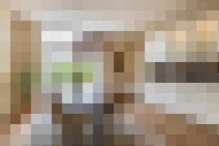 Graskers 19 Eindhoven thumbnail 16