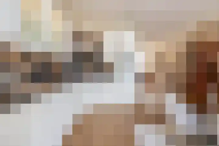 Graskers 19 Eindhoven thumbnail 19