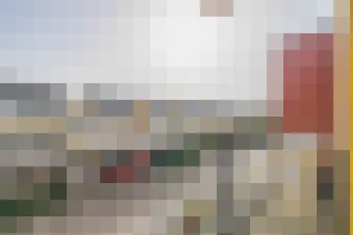 Graskers 19 Eindhoven thumbnail 29