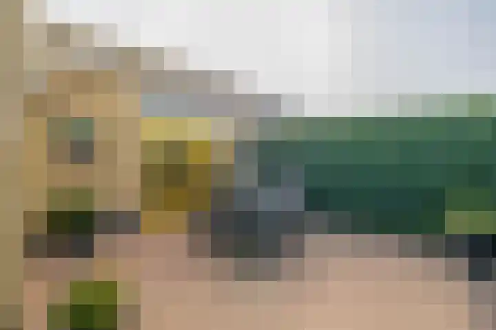 Graskers 19 Eindhoven thumbnail 35