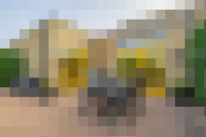 Graskers 19 Eindhoven thumbnail 36