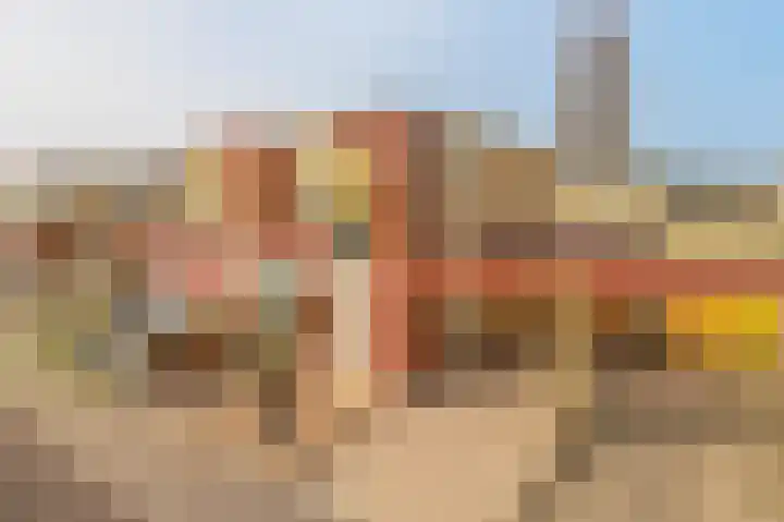Graskers 19 Eindhoven thumbnail 38