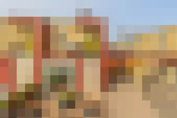 Graskers 19 Eindhoven thumbnail 5