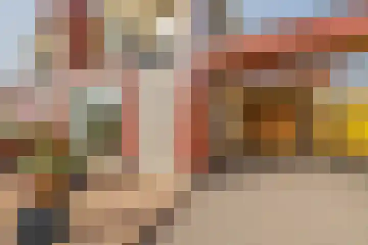 Graskers 19 Eindhoven thumbnail 6