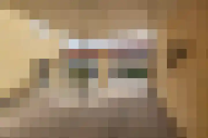 Graskers 19 Eindhoven thumbnail 7