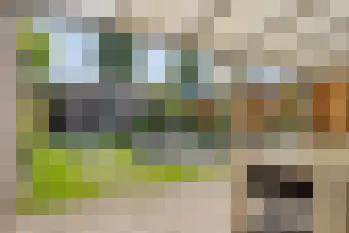 Grasklokje 112 Best thumbnail 31
