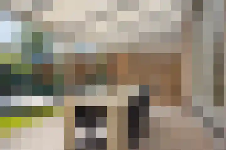 Grasklokje 112 Best thumbnail 32
