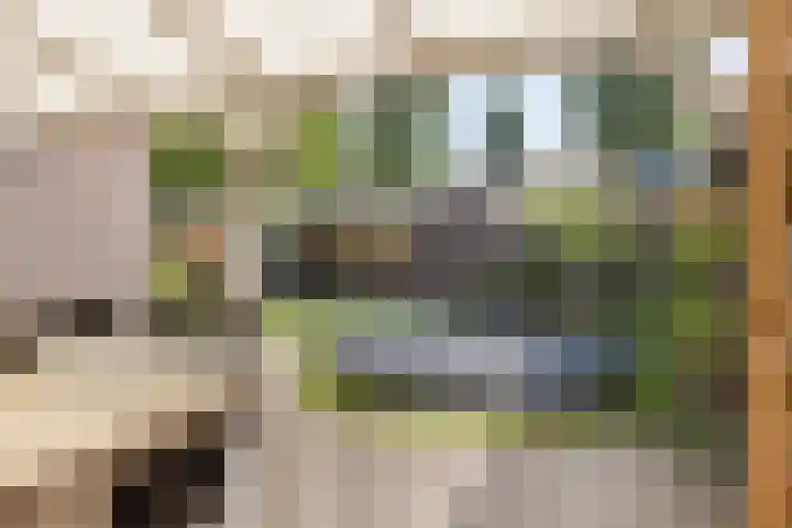 Grasklokje 112 Best thumbnail 33
