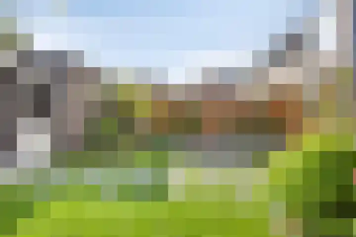 Grasklokje 112 Best thumbnail 34