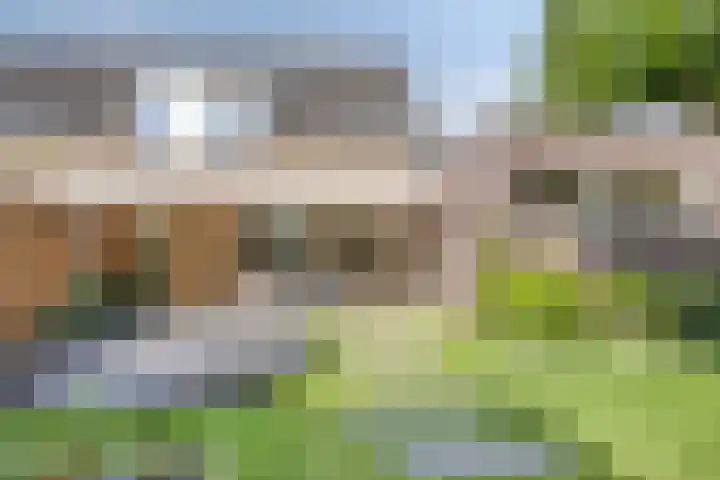 Grasklokje 112 Best thumbnail 37