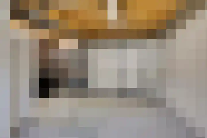 Grasklokje 112 Best thumbnail 38