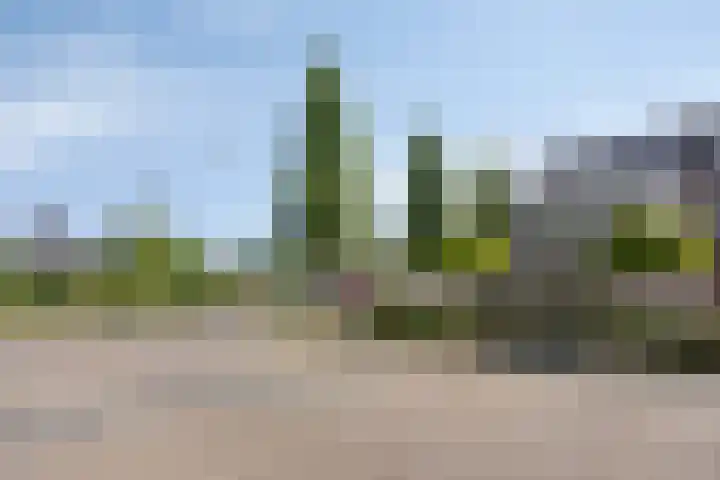 Grasklokje 112 Best thumbnail 42