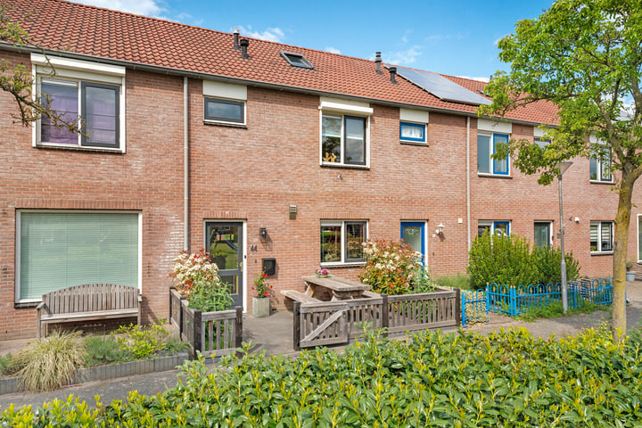 Grasklokje 44 in Hardenberg foto