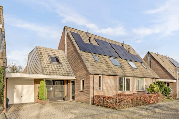 Grasklokje 72 in Best