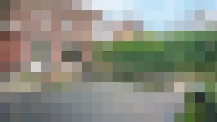 Graskom 11 Almelo thumbnail 28