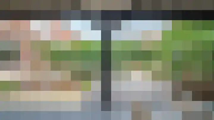 Graskom 11 Almelo thumbnail 30