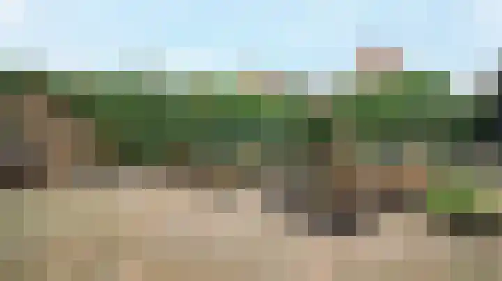 Graskom 11 Almelo thumbnail 35