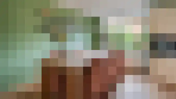 Graskom 11 Almelo thumbnail 6