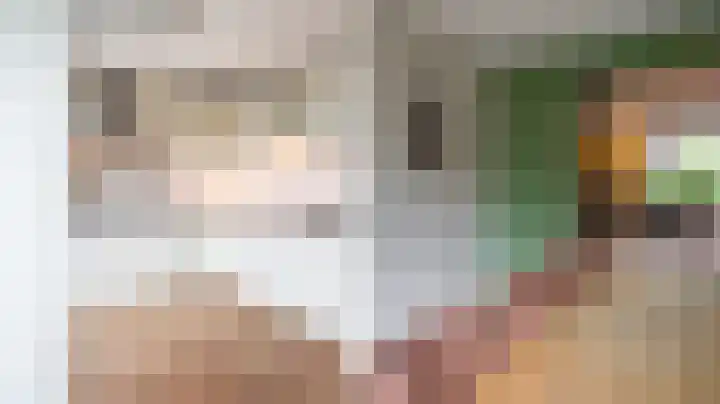 Graskom 11 Almelo thumbnail 7