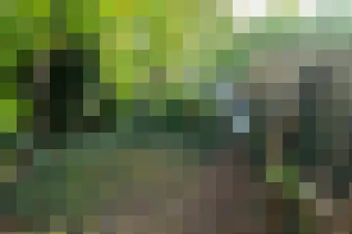 Graslaan 62 Arnhem thumbnail 24