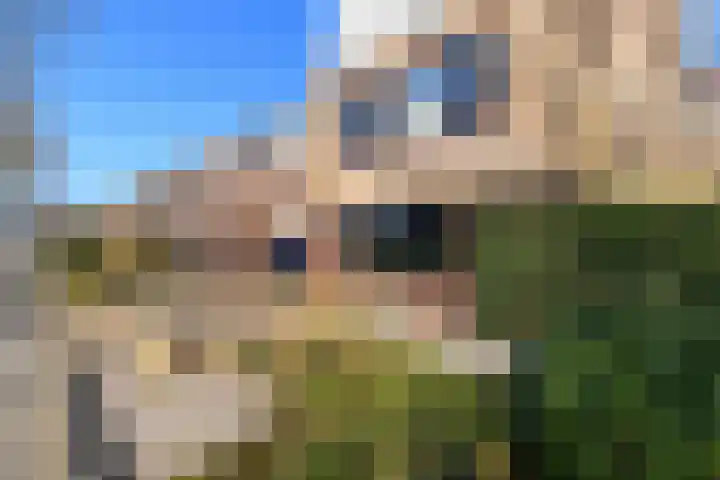 Grasland 11 Drachten thumbnail 49
